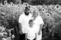 250710 sunflowers -00002b