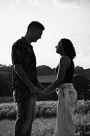 250710 sunflowers -00153b