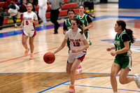 260120 jv-11