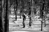 DSC00027b