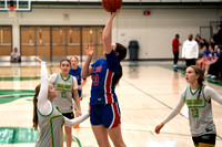 260213 jv-6
