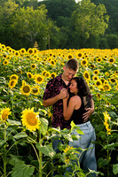 250710 sunflowers -00131