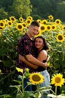 250710 sunflowers -00125