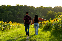 250710 sunflowers -00101