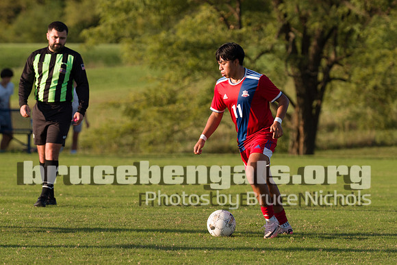 241003 bull-232