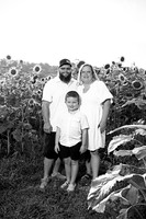 250710 sunflowers -00032b