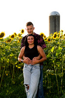 250710 sunflowers -00139