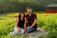 250710 sunflowers -00140