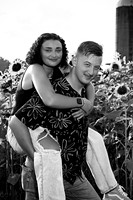 250710 sunflowers -00136b
