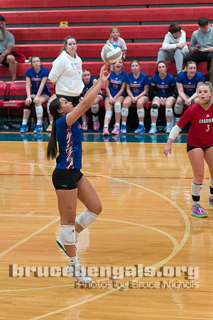 241023 district game 1-980