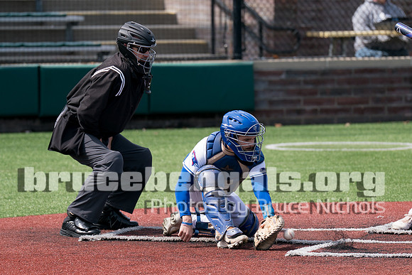 250401 cards-341