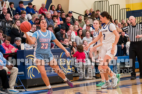 250224 lady cards (79 of 84)