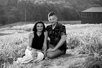 250710 sunflowers -00140b
