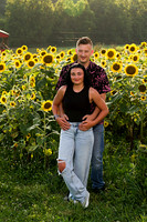 250710 sunflowers -00075