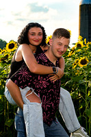 250710 sunflowers -00136