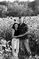 250710 sunflowers -00115b