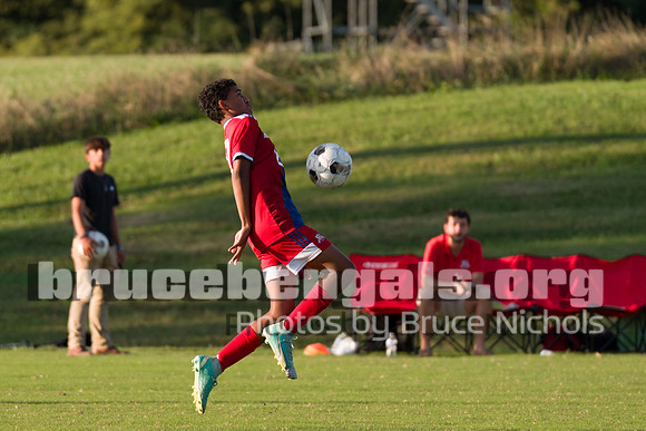 241003 bull-209