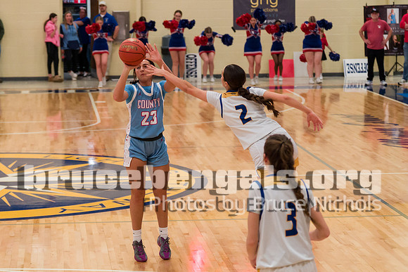 250224 lady cards (39 of 84)