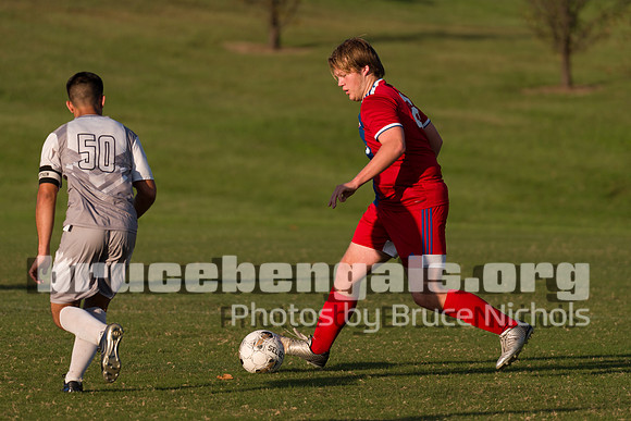 241003 bull-194