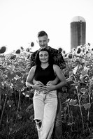 250710 sunflowers -00139b