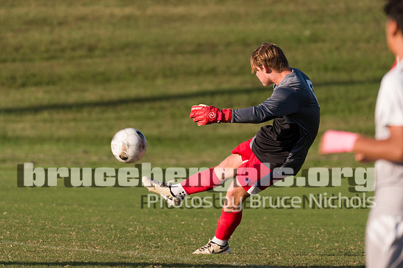 241003 bull-20