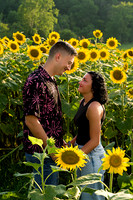 250710 sunflowers -00123