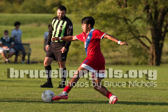 241003 bull-233
