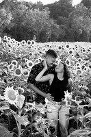 250710 sunflowers -00129b