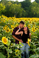 250710 sunflowers -00129