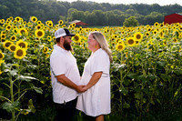 250710 sunflowers -00024
