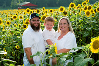 250710 sunflowers -00019