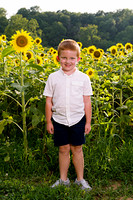 250710 sunflowers -00015