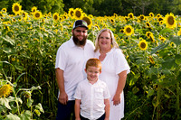 250710 sunflowers -00002