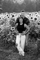 250710 sunflowers -00075b