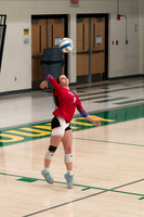 241028 regions-30