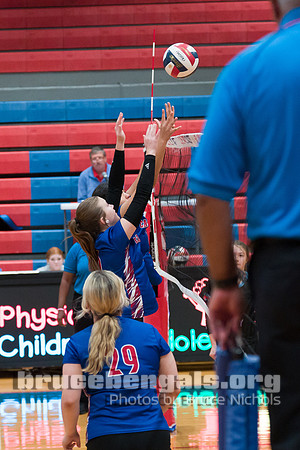 241008 casey-11