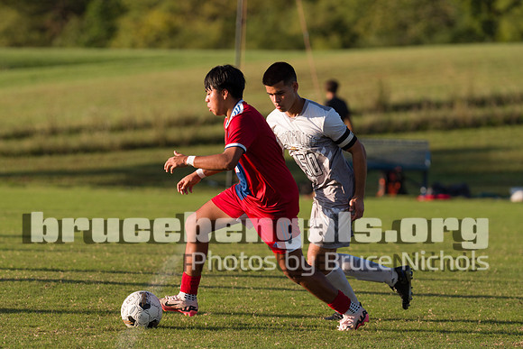 241003 bull-158