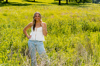 DSC00734a