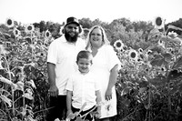 250710 sunflowers -00003b