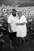 250710 sunflowers -00027b